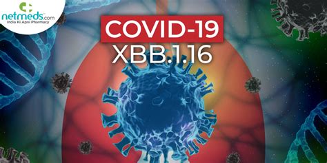 xbbxbd|XBB.1.16, New Covid.